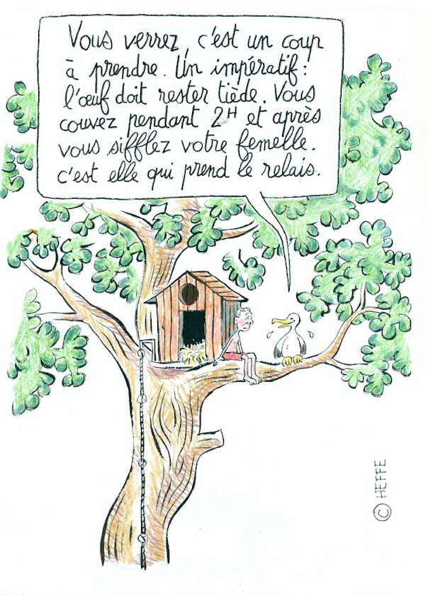 Heffe Ma cabane dans les arbres