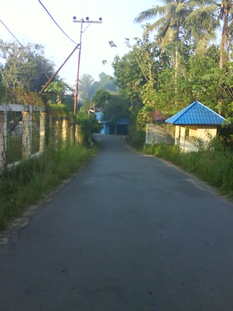[DSC03494.JPG]