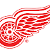 RED WINGS BEAT PENGUINS, 3-1 WIN!!