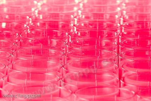 [0004_Candles_100317-782420.jpg]