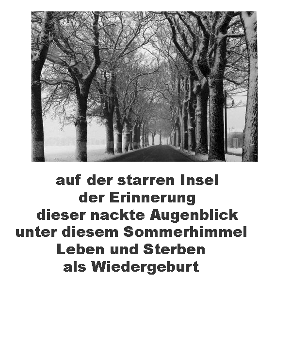 Nr.127: der wind weht wohin er will