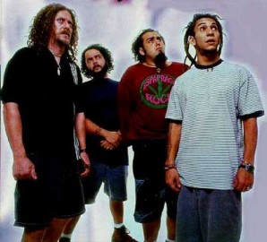Minha Vida é o Rock N' Roll: Discografia Raimundos