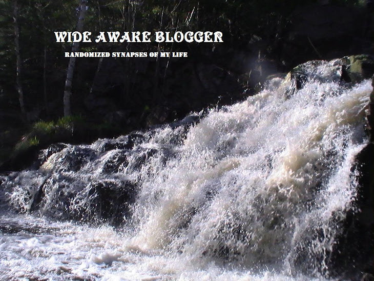 WIDE AWAKE BLOGGER
