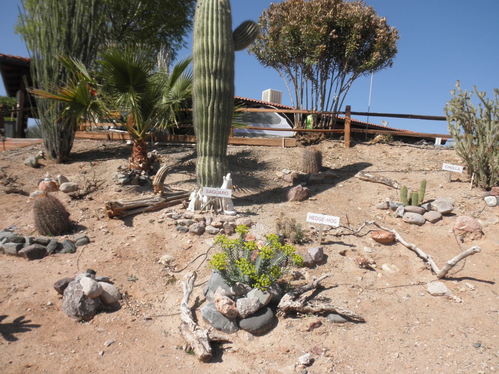 Bruce's TransAm bike ride spring 2010 Day 7, Mar 28 Salome, AZ to