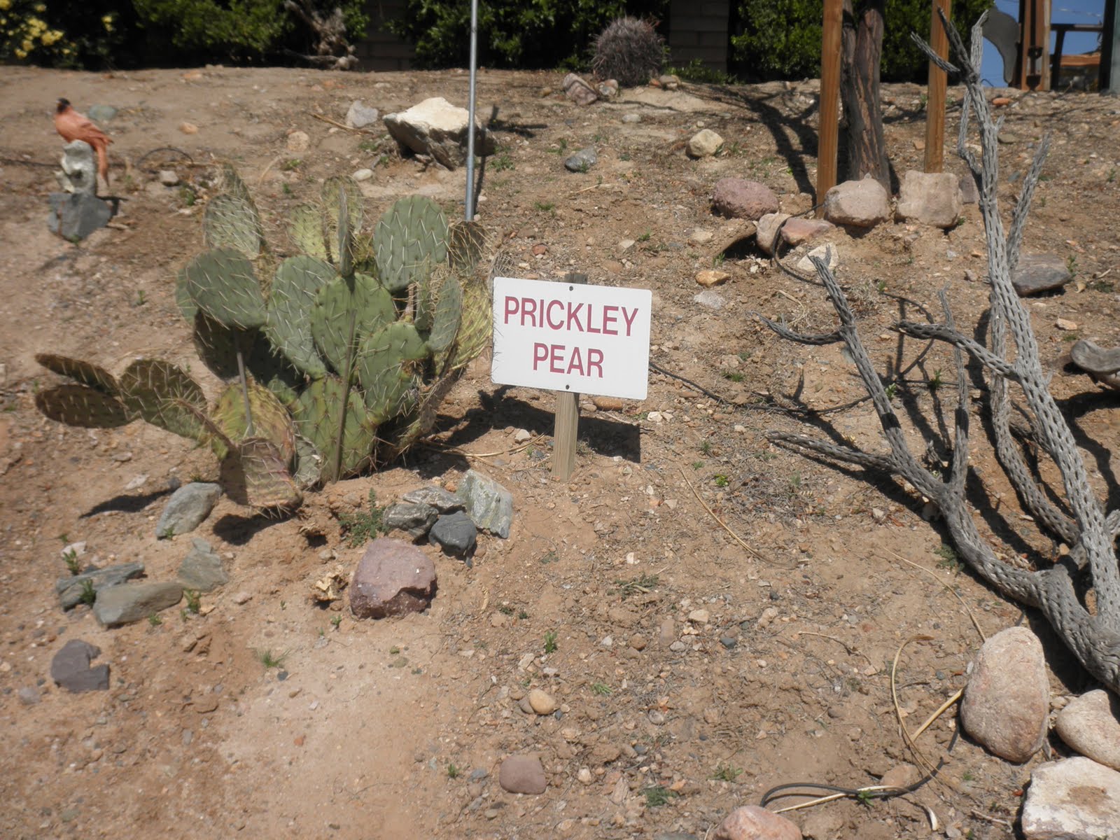 Bruce's TransAm bike ride spring 2010 Day 7, Mar 28 Salome, AZ to