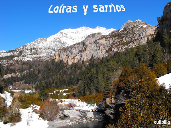 Loiras y sarrios