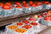 Misty Acres Farm