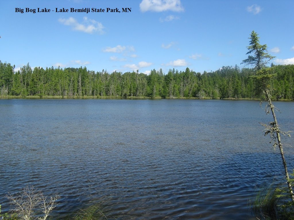 David & LaVerne On the Oregon Trail 2010 Lake Bemidji State Park