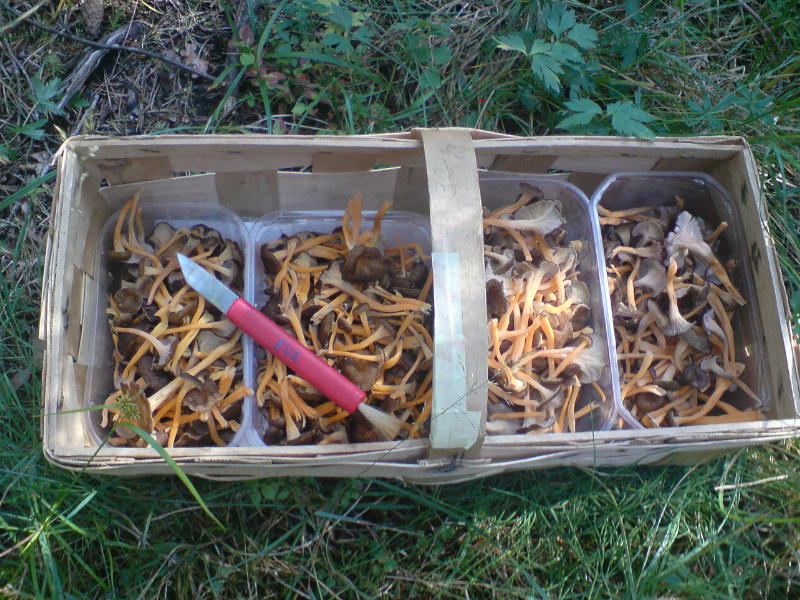 [image-upload-110-756814.jpg]