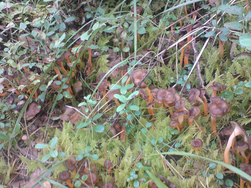 [image-upload-3-763863.jpg]