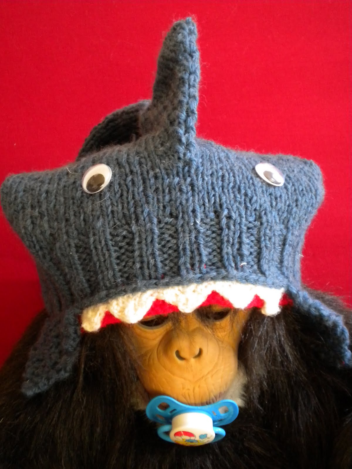 bonnet requin