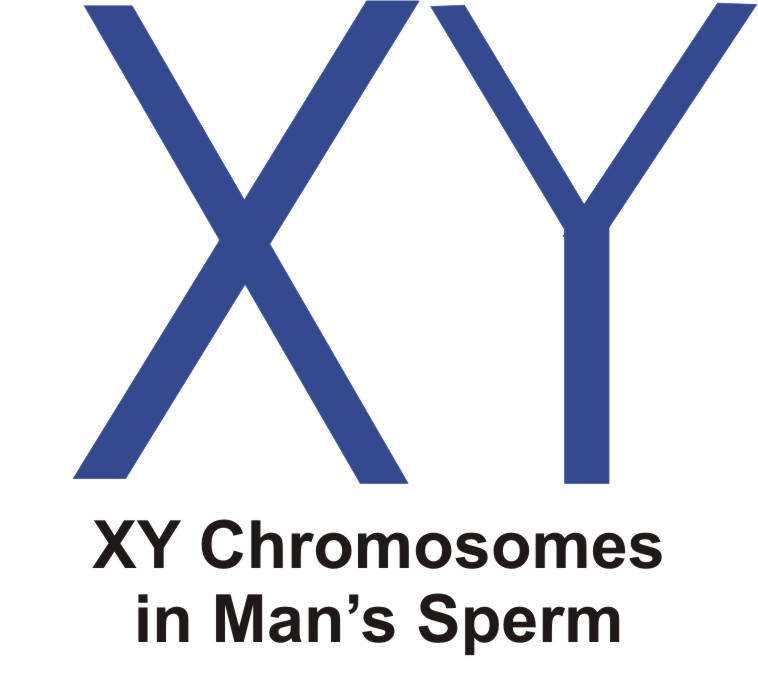 Xy Sex Determination 92
