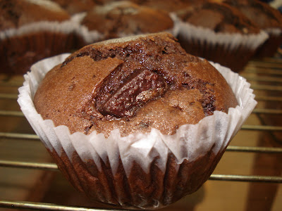 chocolate chip muffin