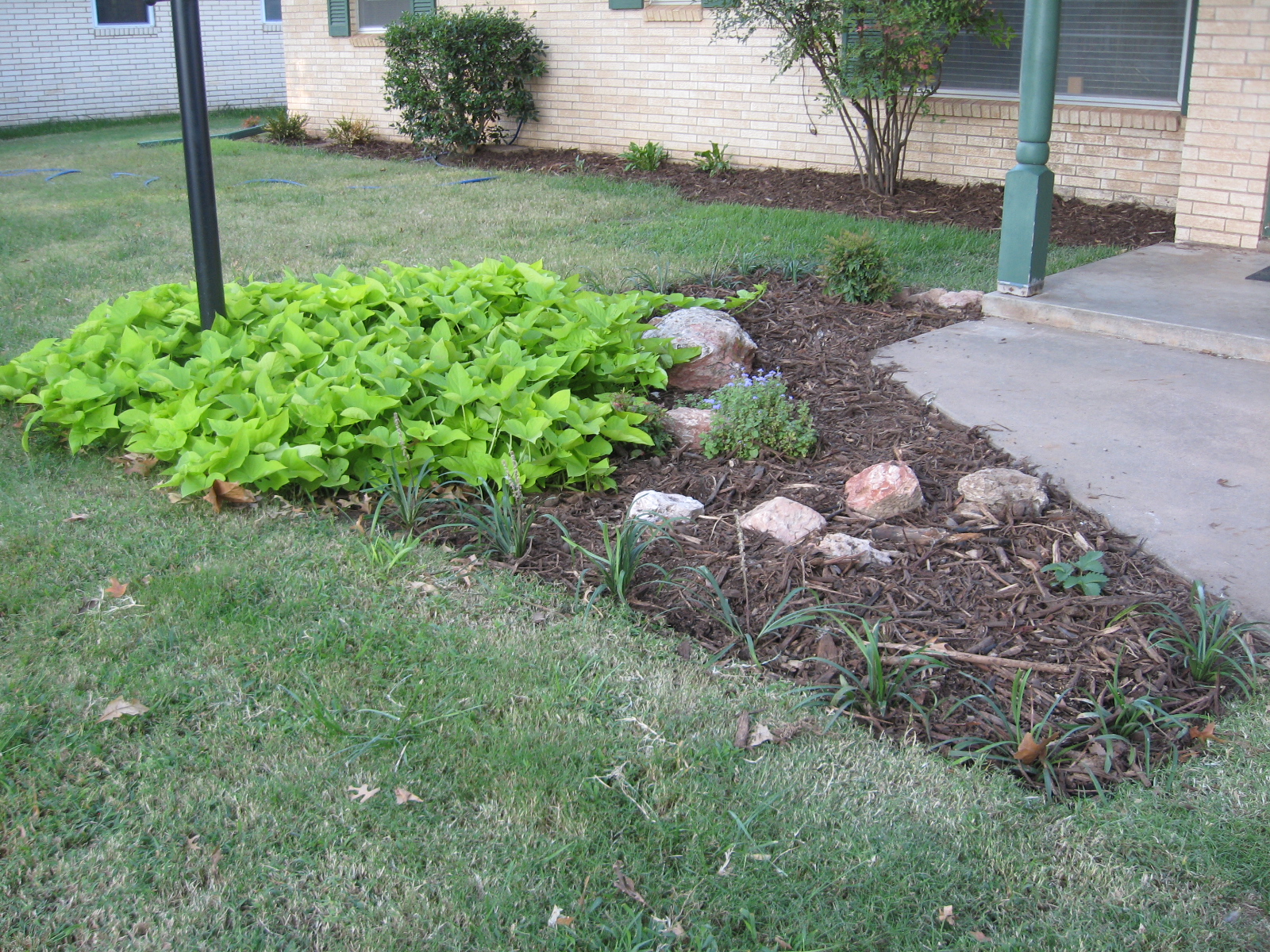 Water Softener Water Softener Drain Into Yard
