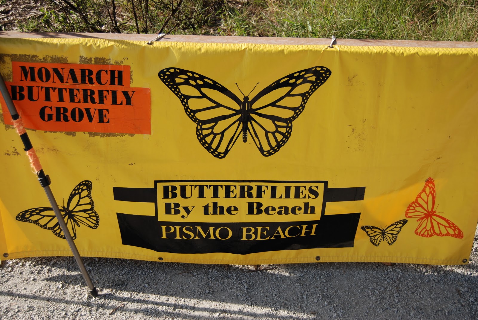 Gamma Susie's This n That Bugs Bunny's Favorite Vacation Spot