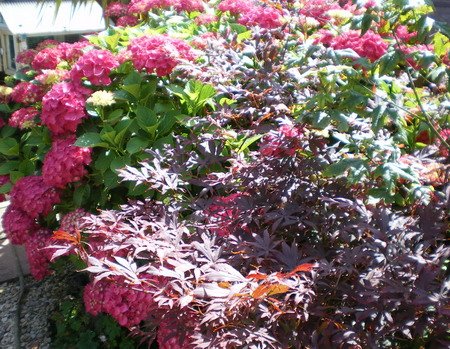 [04-07-2009+18-10-02_0009.jpg]