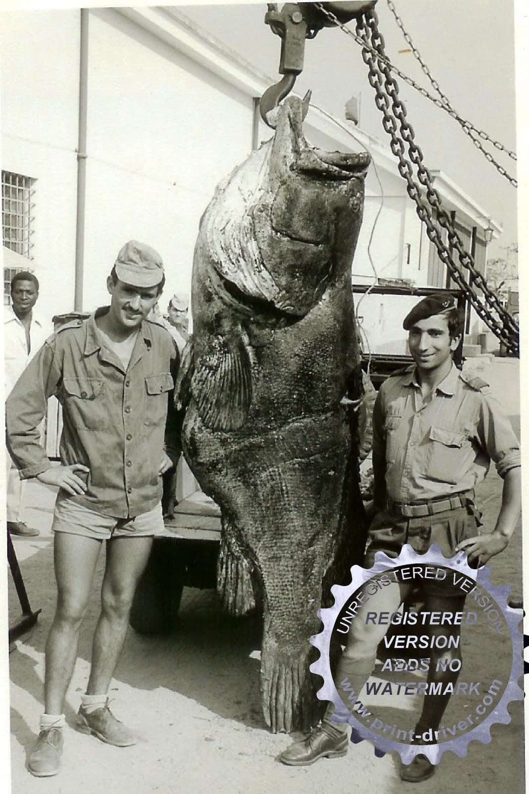 [Ambrizete+-+Cherne.jpg]