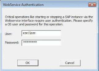 Instalar sap Netweaver