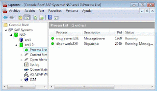 Instalar sap Netweaver