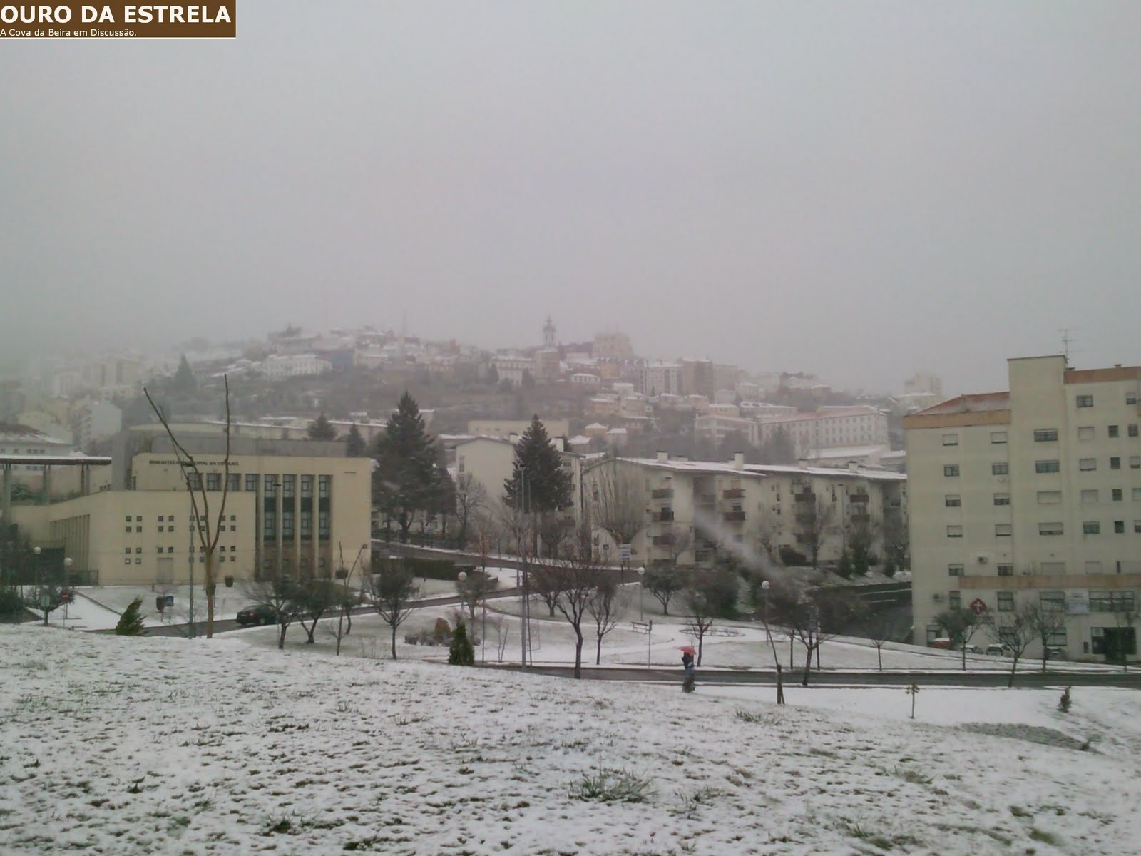[neve+estação+10012010.JPG]