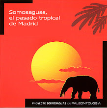 Proyecto Somosaguas de Paleontología