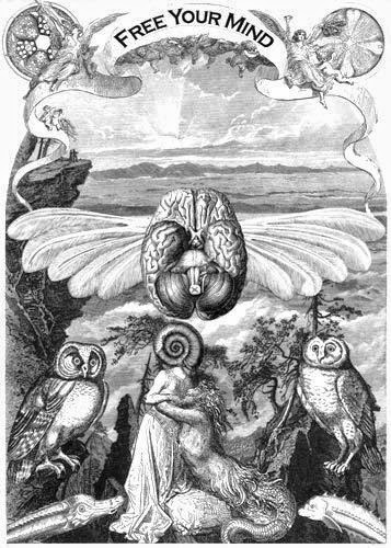 [freeyourmind.jpg]