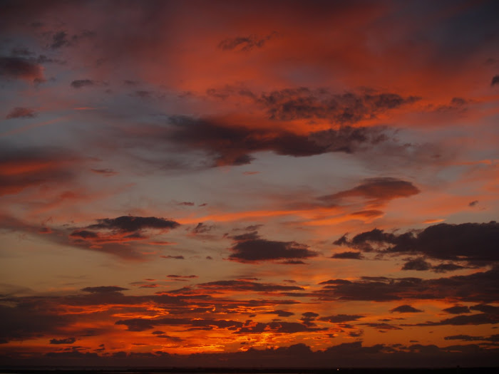 Desde el balcón 1