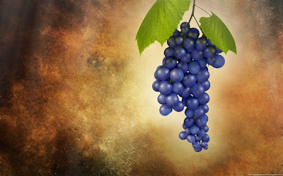 grapes-wallpaper.jpg