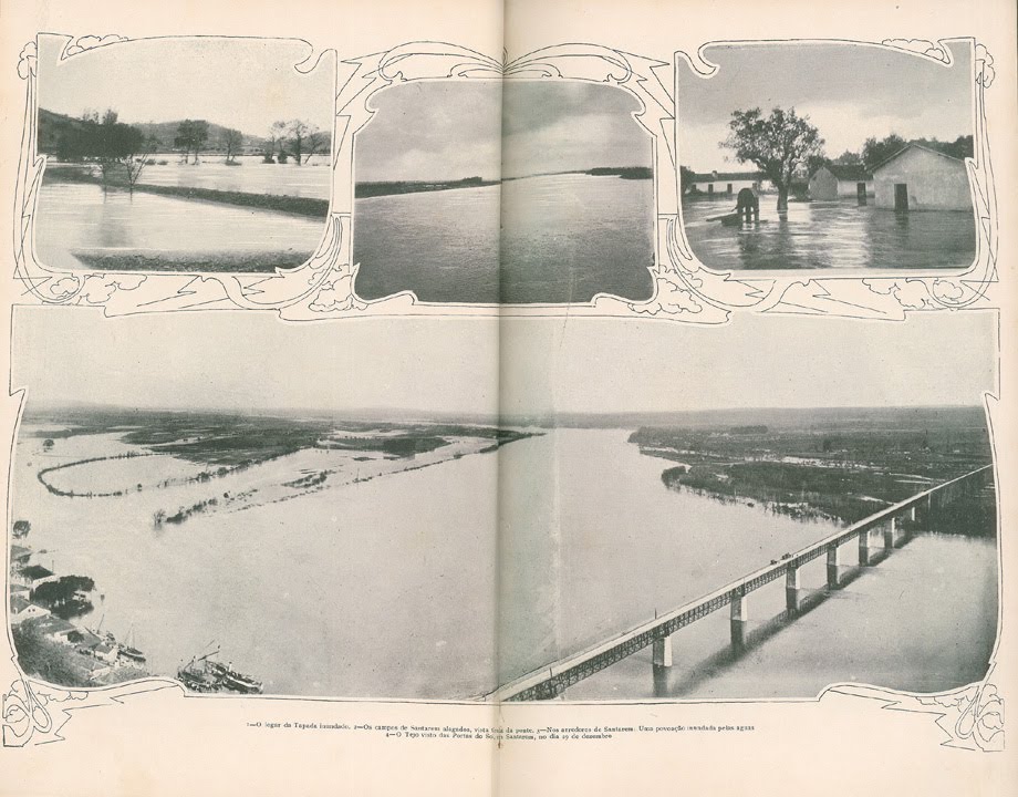 [N203_0018_branca_t0.jpg]