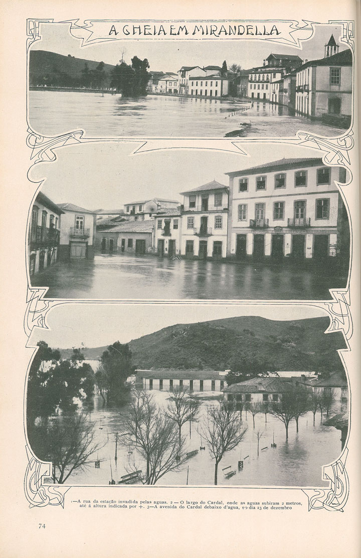 [N204_0012_branca_t0.jpg]