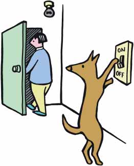 [Turn_of_lights.jpg]