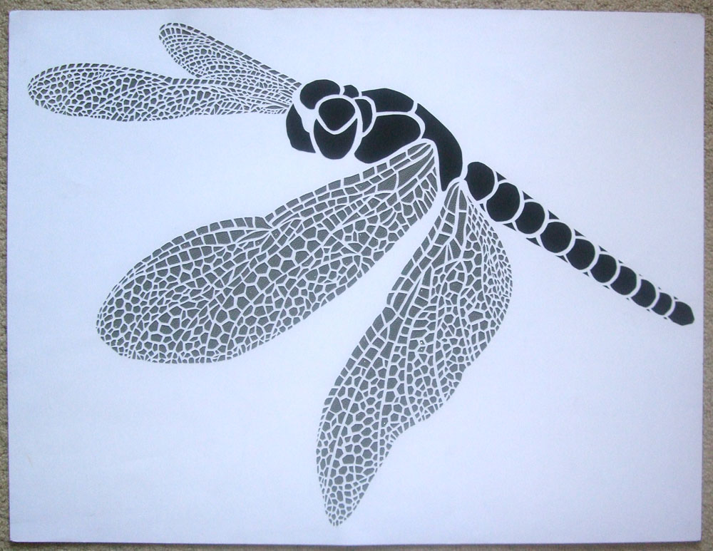 Cat Ingall Illustration Is Dragonfly One Word Or Two 
