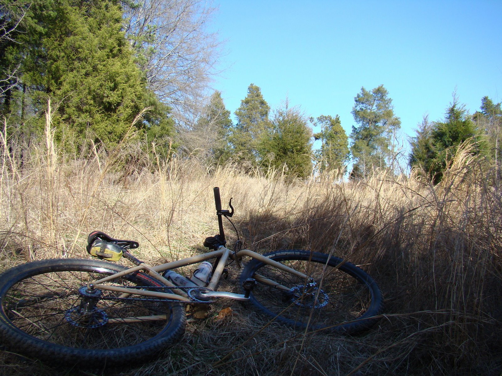 [DSC00789.JPG]