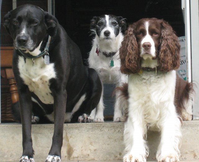 [BeanLilyTripCU.jpg]