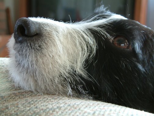 [TripThoughtful4_05.jpg]