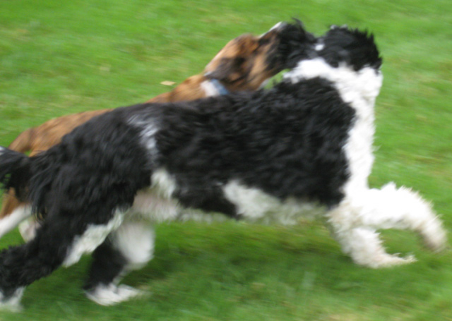 [SayuriBuster1Class1.jpg]