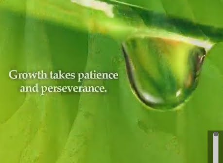 [GrowthTakesTime.jpg]