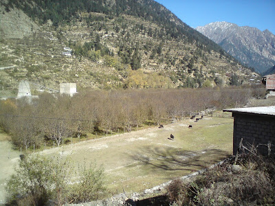 Apple orchards at Harsil - Enroute to Gangotri