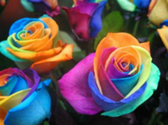 [renklerin-terapisi.jpg]