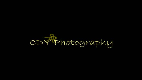 CDY Photography
