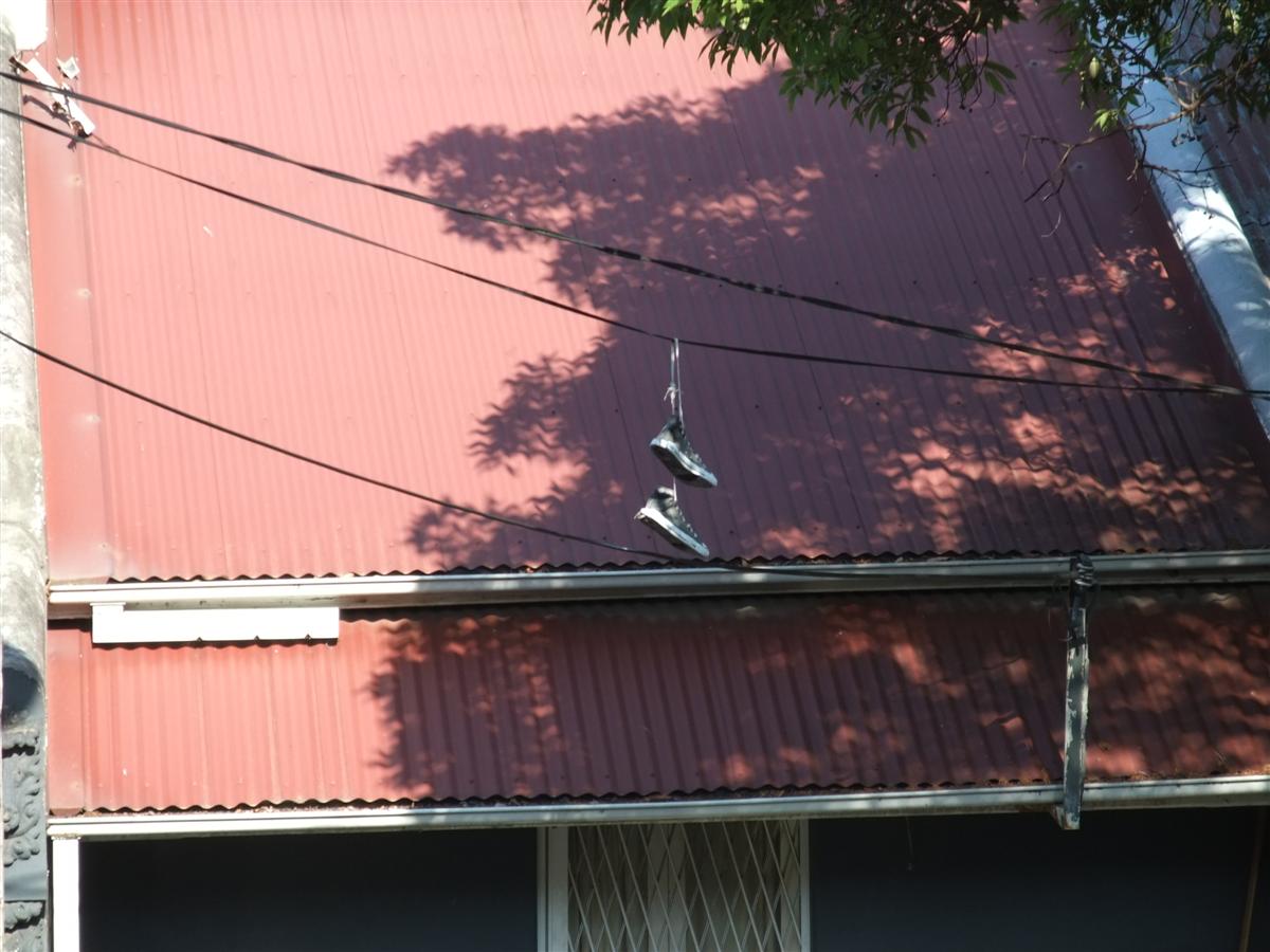 [DSCF9400.JPG]