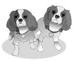 Two Little Cavaliers