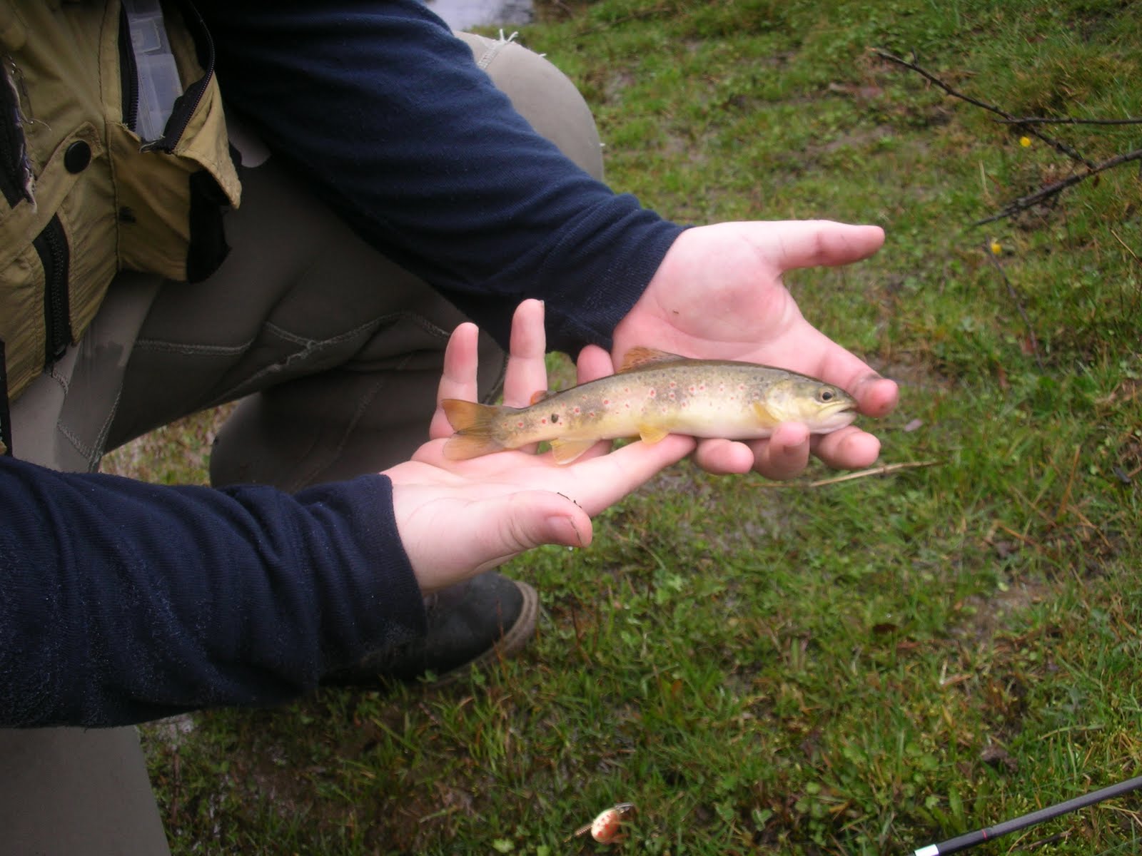 PESCANDO TRUCHAS COTO SAN MARTÍN DEL PIMPOLLAR