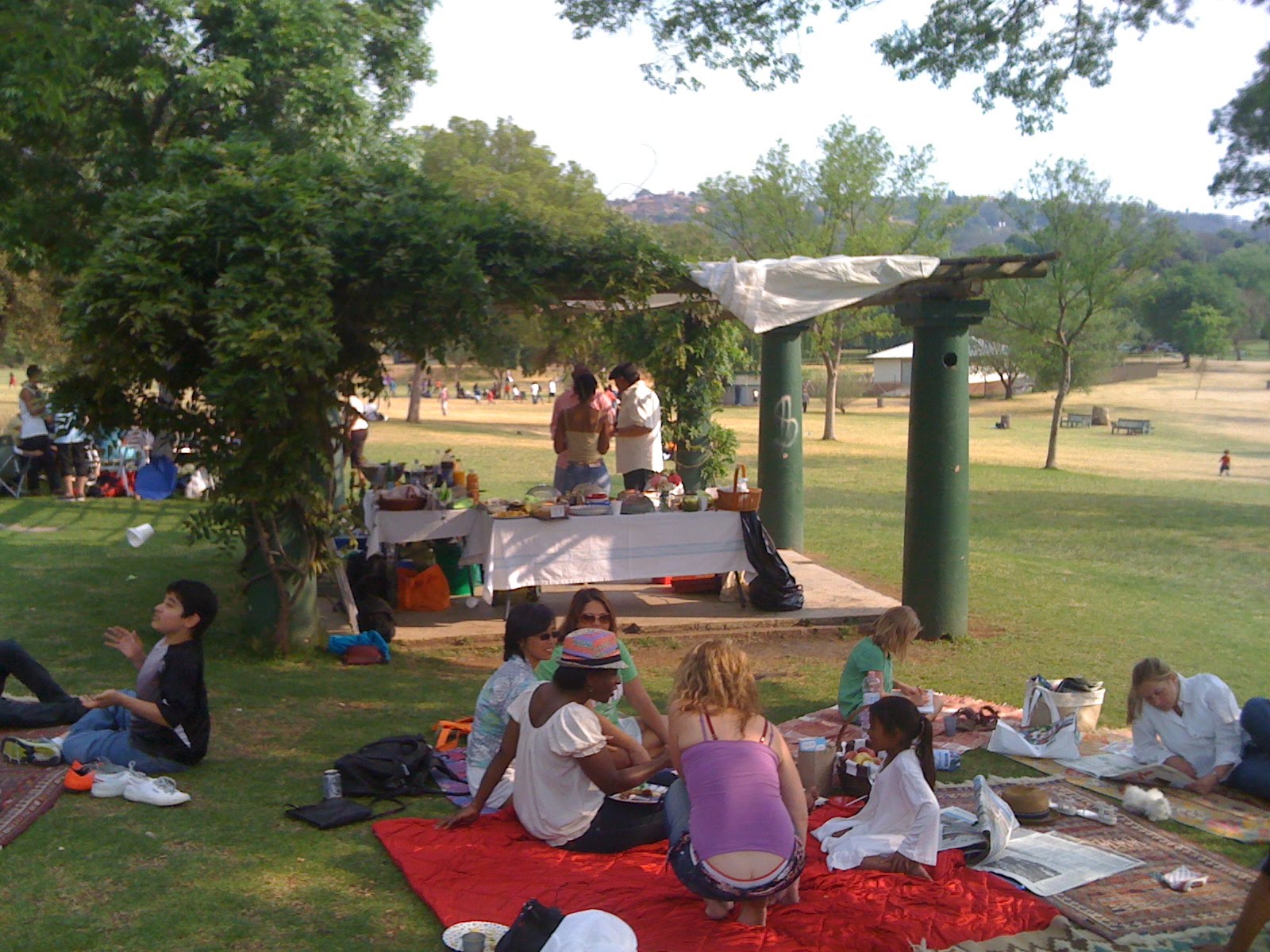 Our South African Adventure Picnic in the Park