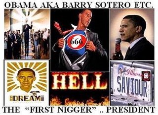 [ObamaFirstNiggerPresCube.JPG]