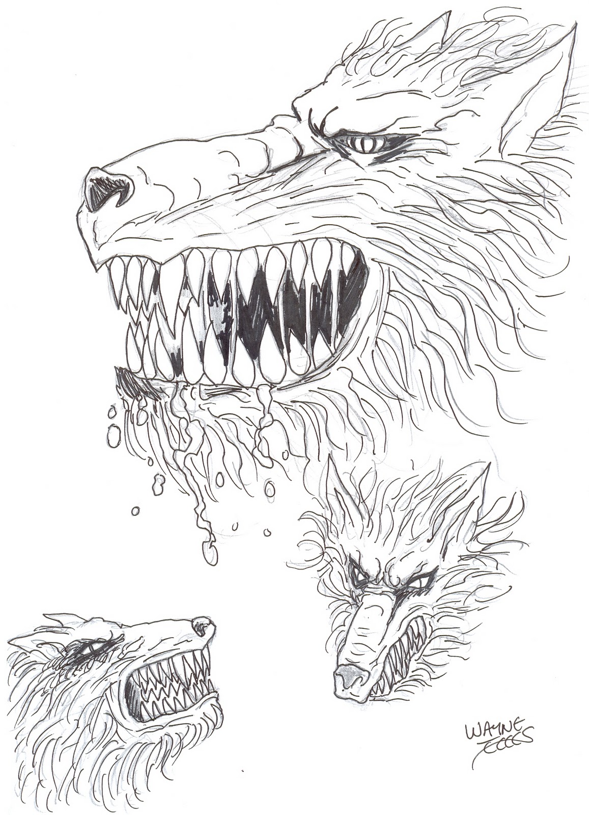 Wayne Tully Horror Art: Demon Wolf Drawing Head Studies