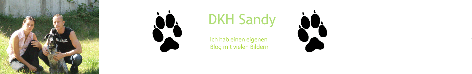 DKH Sandy