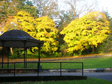 Barnes Park