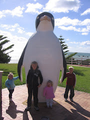 One of Many Penguins in the town of Penguin TAS