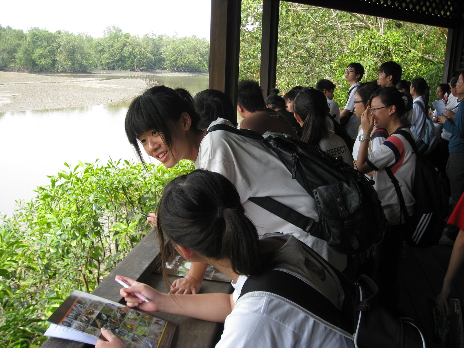[IMG_3391.JPG]
